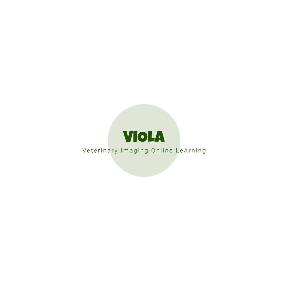 VIOLA