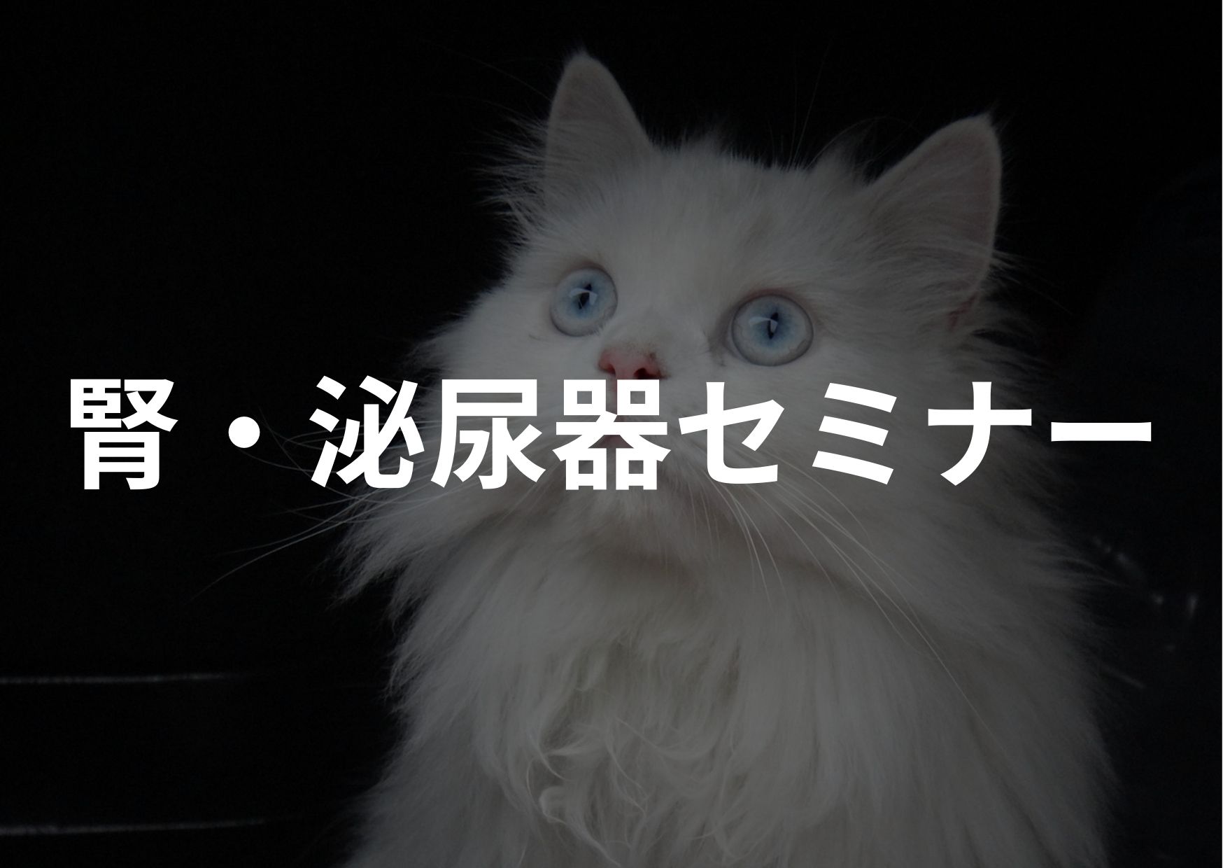 腎・泌尿器セミナー