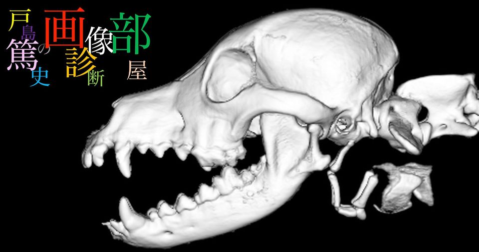 画像診断部屋