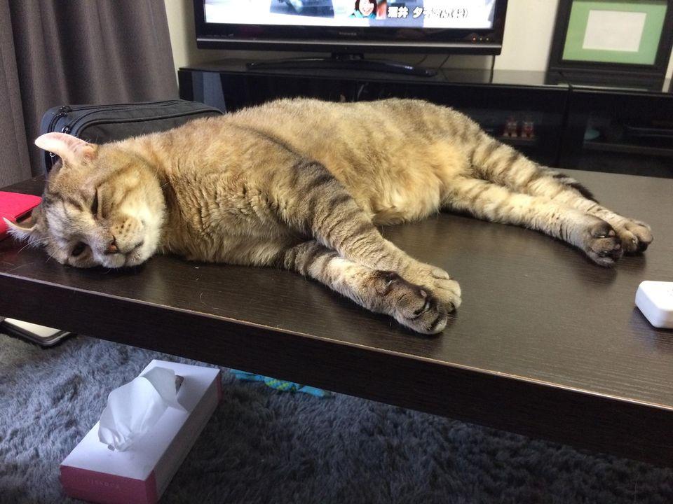 大隅のつぶやき