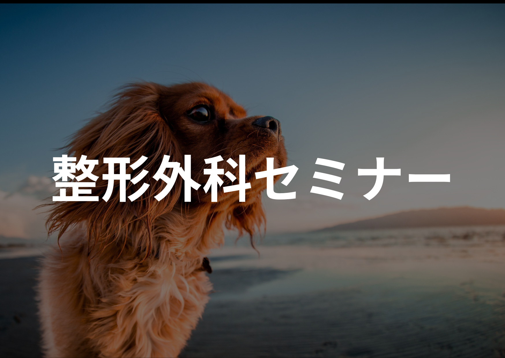 整形外科セミナー